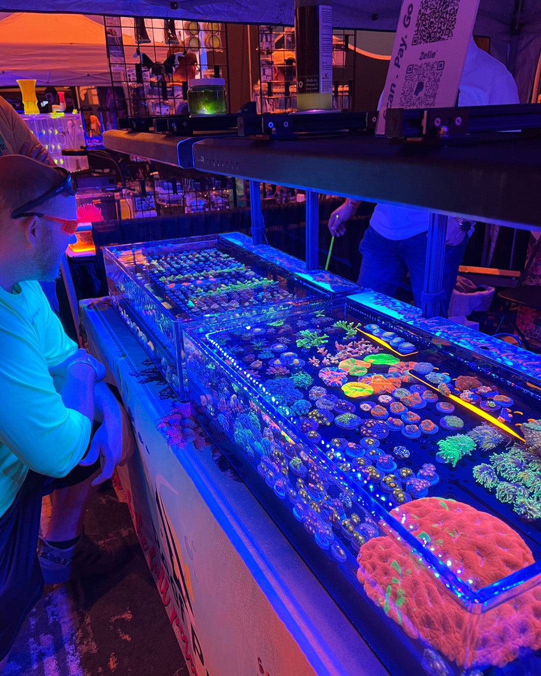 Saltwater Aquarium expo Reefapalooza, Coral Frag Tank