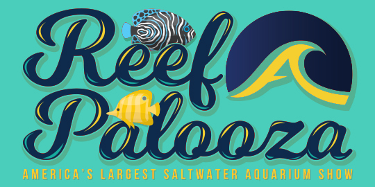 Reefapalooza saltwater fish sticker aqua